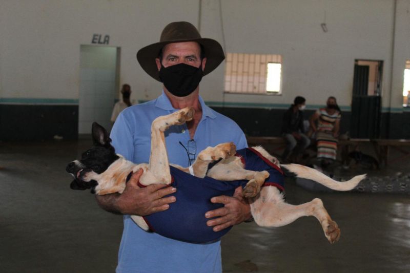 Prefeitura realiza castração de 304 animais do nosso município
